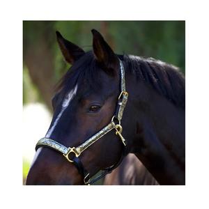 Sillín de estilo inglés de alta calidad, cabestro metálico dorado Floral, charol, nailon, accesorio elegante inteligente de estilo occidental - Product Image 2
