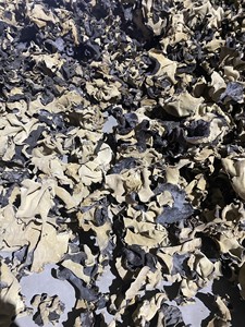 Champignons Séchés de Haute Qualité - Marque Viet Delta - Couleur Noire - 100% Naturel - Origine Vietnam - Contact JENNIBUI +84797005377 - Product Image 6