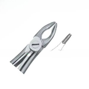 Forceps d'extraction de dents Fig34 Produits de logo personnalisé de vente à chaud Instruments dentaires en acier inoxydable de haute qualité - Product Image 6