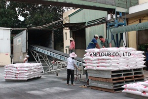 Poudre de son de blé séché bon prix - Product Image 4