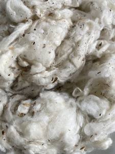 Lickerin A and b/ Card fly/ FLAT Strips ผ้าฝ้าย100% ของเสียจากเวียดนาม-Ms. Florence - Product Image 2