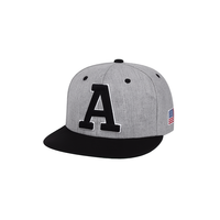 Gorra de béisbol deportiva personalizada de 5 paneles con visera ancha, patrón de letras, bordado a mano en lona, gorra trucker de gamuza ajustable, Common Puff