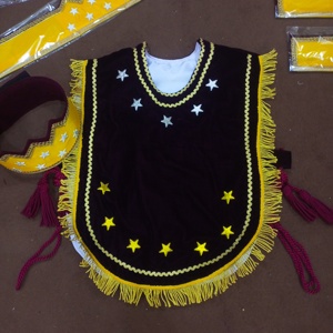 Masonic Regalia Hoj วีรสตรีของผ้ากันเปื้อนเจริโคที่มี CROWN-HSE - Product Image 1