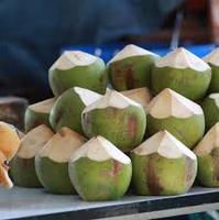 Verse jonge Thaise kokosvlees-sap – zoet en hydraterend voor smoothies, culinaire toepassing of rechtstreeks uit de bron consumptie.