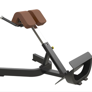 Équipement <span class=keywords><strong>de</strong></span> forme physique <span class=keywords><strong>de</strong></span> gymnase <span class=keywords><strong>de</strong></span> chaise romaine en métal utilisée commerciale <span class=keywords><strong>pour</strong></span> <span class=keywords><strong>le</strong></span> <span class=keywords><strong>banc</strong></span> d'extension arrière <span class=keywords><strong>de</strong></span> bodybuilding à vendre - Product Image 1