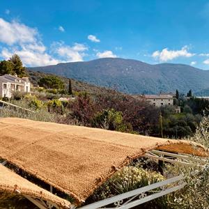 ม่านบังแดดธรรมชาติสำหรับ ECO2GO ลานบ้านใช้ในสวนและรีสอร์ท (ขายส่ง) - Product Image 4