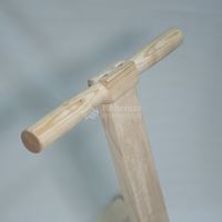 Marchette à pousser et à tirer en bois durable pour les tout-petits Jouets à cycle et à traction robustes