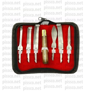 Ensemble d'instruments de microchirurgie vétérinaire, usine directe pisco, ensemble de Micro pinces à attacher, emballage personnalisé - Product Image 4