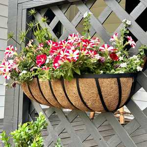 Balcony planter coco hanging basket wall <b>trough</b> <b>liner</b> plant made in Vietnam custom size accept - Product Image 5
