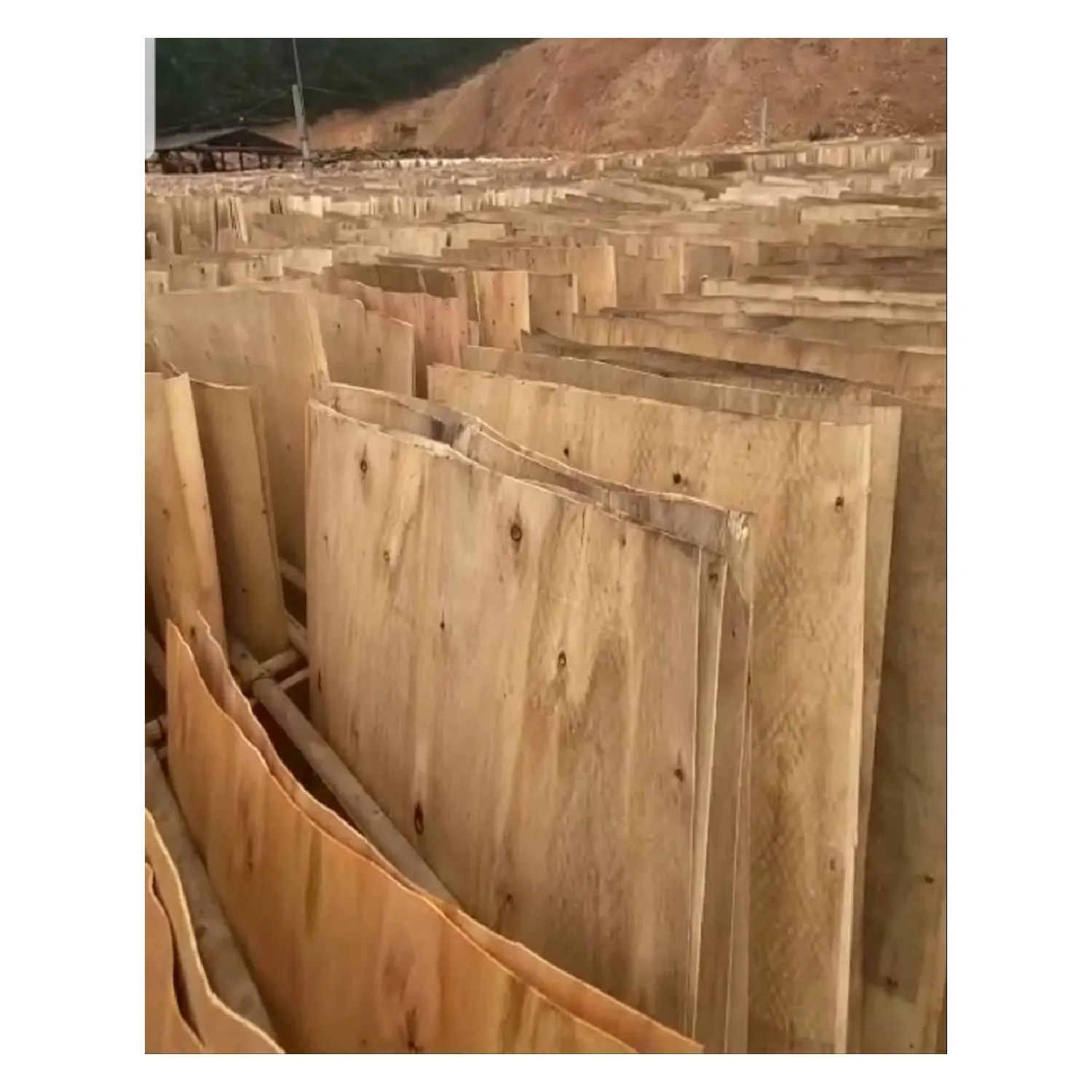 Miglior prezzo produttore del Vietnam eucalipto/Acacia/gomma/legno di pino Vietnam nucleo impiallacciatura per compensato