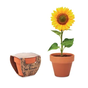 Maceta Ecológica Inteligente y Recipiente para Semillas de Girasol Inspirado en la Belleza de la Naturaleza - Product Image 4
