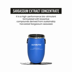 สารสกัดจากสาหร่าย Sargassum รูปแบบของเหลวเข้มข้นผลิตภัณฑ์ทางการเกษตร - Product Image 2