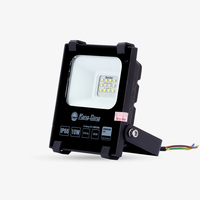 Lumière de travail LED super lumineuse IP66 lumière d'inondation extérieure 6500K pour aire de jeux cour jardin terrasse