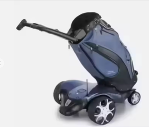 Scooter électrique authentique Easy Go, personnalisable, avec télécommande, chariot de golf, chariot à pousser, avec support OEM ODM, produit DIY - Product Image 2