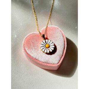 Collana margherita con messaggio segreto stampa in acciaio qualunque cosa desideri
