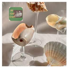 Gobelet à boisson en coquillage unique du Vietnam, verre à vin en coquille de conque fait à la main créatif pour la décoration de fête de luxe - Product Image 4