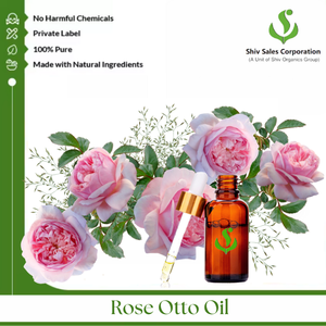 น้ำมันดอกกุหลาบสำหรับการดูแลส่วนบุคคลระดับไฮเอนด์ทรีทเมนท์สปาและน้ำหอมการใช้งานทางธุรกิจอุตสาหกรรม - Product Image 2