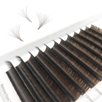 Boîtes personnalisées, brun foncé, cils individuels à éventail facile, cils synthétiques, cheveux naturels, longs, premium, méga volume, extensions de cils
