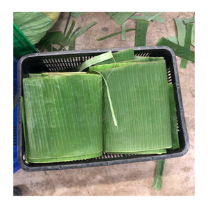 Hoja de plátano congelada pelada y limpiada Hoja de plátano congelada exportada para envolver alimentos tradicionales - Product Image 4