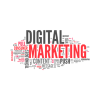 Software Expert Digital Marketing Solutions Versión en Stock Compatible con sistemas operativos Linux y Mac Tipo Internet