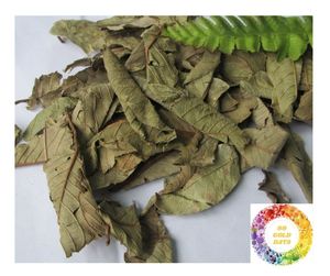 Ổi lá truyền trà với 100% tươi ổi lá tự nhiên chất lượng cao cai nghiện làm sạch trà giúp lượng đường trong máu thấp hơn - Product Image 2