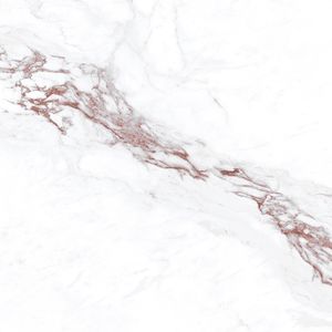 Vente en gros de carreaux de porcelaine pour constructeurs et entrepreneurs 600x1200mm meilleurs carreaux de porcelaine pour mur de salle de bain produit de meilleure qualité - Product Image 5