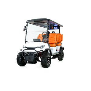 Vente rapide de voiturettes de golf 2 places et 4 places, offre spéciale - Product Image 1