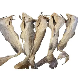 Bacalao atlántico (Gadus Morhua) secado como Stockfish, bacalao Ártico conservado secado de pescado Stock