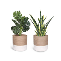 Pot de fleurs en jute sculpté à la main de haute qualité, moderne, personnalisé pour la pépinière, le jardinage et la maison