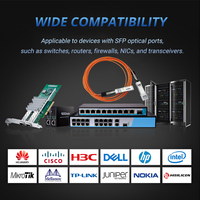 Kabel Optik Aktif Serat Optik SFP+ AOC 10G Ytopto dengan Panjang Kustomisasi (1m-5m) 10G Ethernet FTTX 5G Bersertifikasi CE/FCC/RoHS/ISO9001
