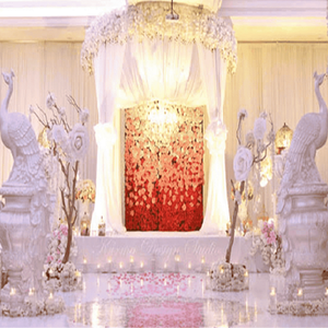 Statues de paons en bois design pour décorations de mariage et occasions spéciales - Ornements élégants - Product Image 4