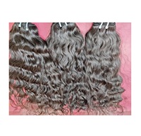 Extensions de cheveux humains naturels brésiliens vierges de haute qualité Hamson HHH0044, double trame, cuticules alignées, 100g