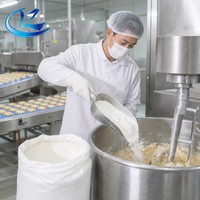 Bicarbonate de Sodium de Qualité Alimentaire pour Biscuits, Matière Première, Emballage de 25 kg