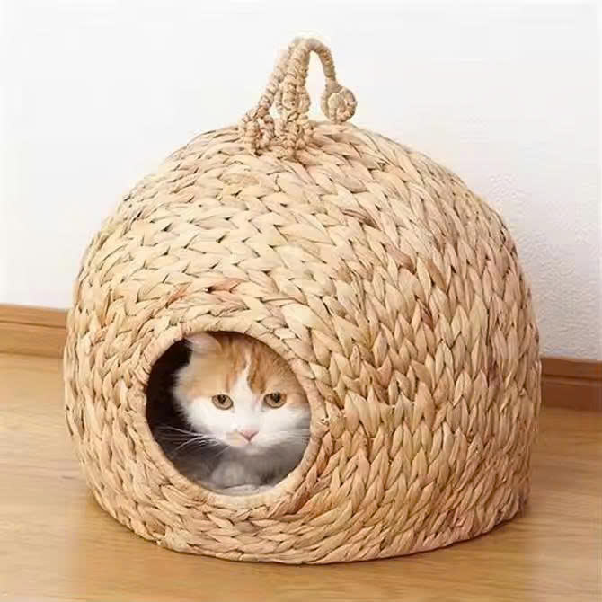 ธรรมชาติ