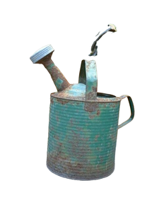 Stainless Steel Metal Watering Can-Garden Decoration & <b>Storage</b> <b>Container</b> for Home Customizable Color & Logo ACMI Brand - Product Image 1
