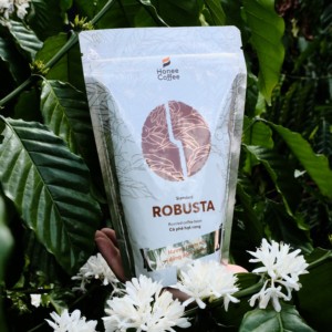 Granos de Café Robusta Tostados Vietnam 100% Tostado Medio Tamiz 18, 250g Por Bolsa Marca - Product Image 4