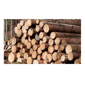 Bûches rondes en bois d'épicéa pour la fabrication de meubles-Qualité supérieure, prix compétitif - Product Image 6