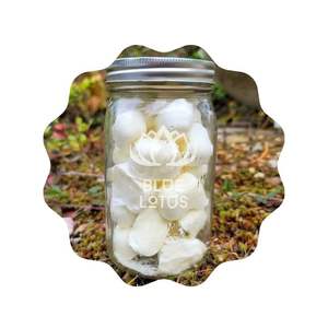 MEJOR PRECIO Yogur Liofilizado Blue Lotus 2025, Bocadillo de Yogur Crujiente - Product Image 1