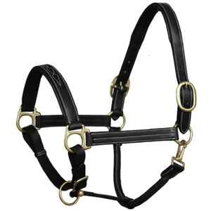 Nueva llegada de cuero genuino caballo Halter accesorios al por mayor - Product Image 1