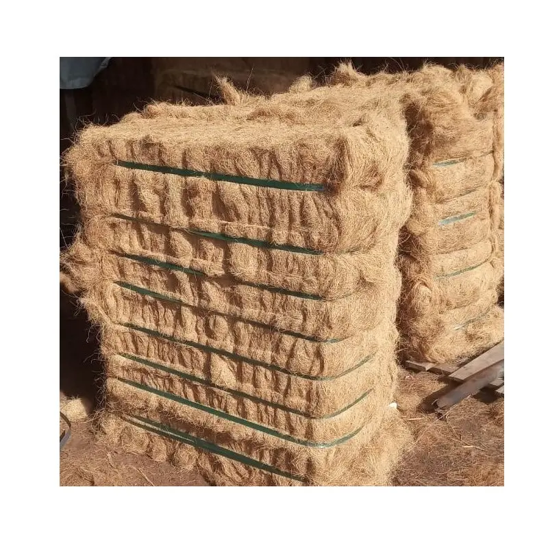 ココ繊維価格特徴競争力のある使用法持続可能な植物の木の材料生のココパターン繊維インドネシア