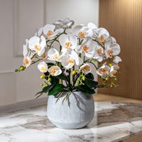 Susunan Anggrek Phalaenopsis Buatan Mewah Berkualitas Tinggi dengan Sentuhan Realistis dalam Pot untuk Dekorasi Meja Hotel, Rumah, atau Kantor
