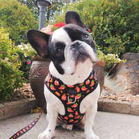 Vente en gros de harnais pour chien avec piment Kawaii et sauce piquante, entièrement réglable, sans traction, pour chiens de taille XS à grande, noir