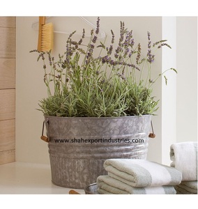 Vente en gros de jardinière en métal galvanisé en vrac seau à glace de jardin pot de fleurs et jardinière pour la maison et le jardin décoratif - Product Image 5