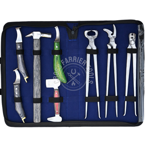 Kit de Herramientas de Herrador, Extractor de Cascos Equinos, Pinza Plateada, Martillo de Herrador, Cuchillo para Cascos Verde, Cuchillo de Latón con Bucle, Doble Amortiguador - Product Image 2
