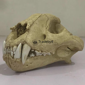 Tradebyd resina artística Animal esculpido decoración hermosas figuritas hechas a mano para la oficina moderna y coleccionistas - Product Image 2