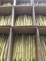 Direct Field Fresh Frozen Whole Shell Raw Sugarcane Juice Premium Vietnam Agriculture GIMEX VIETNAM 3 Year Shelf Life Carton
