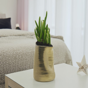 CUB6506GD - Gold Formed <b>Vase</b> - 6.1 H - Product Image 4