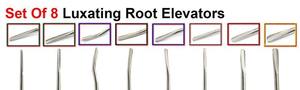 Haute qualité 8 pièces Multi Luxating racine ascenseurs pointe Kit d'extraction Instruments de chirurgie dentaire - Product Image 3