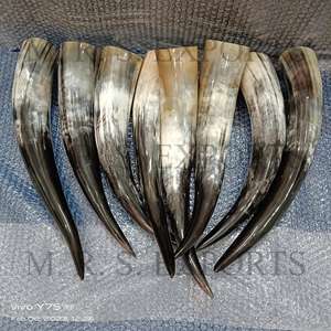 Cuernos de buey de alta calidad Cuernos de bebida vikingos Color crema seguro para alimentos para beber Uso a bajo precio por la empresa de fabricación india - Product Image 1