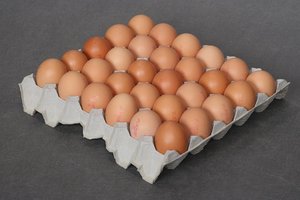 100% Natural <b>Product</b> Farm Fresh Chicken Table <b>Eggs</b>/ Brown and White Shell Chicken <b>Eggs</b> - Product Image 6